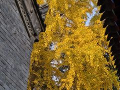 -万寿八仙宫