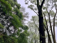 -缙云山景区