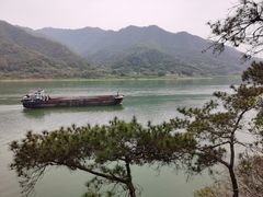 -羚羊峡古栈道森林公园