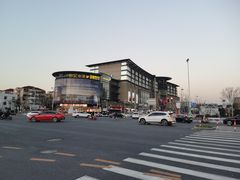 -谭鸭血老火锅(七宝万科广场店)