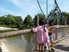 -巴黎迪士尼乐园