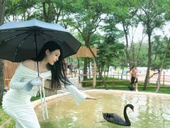 -南戴河国际娱乐中心