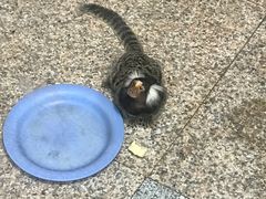 -上海昆虫博物馆