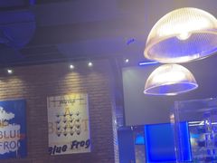 -blue frog蓝蛙(长泰广场店)