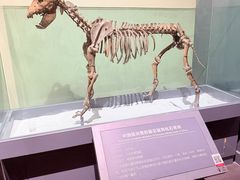 -大庆市博物馆