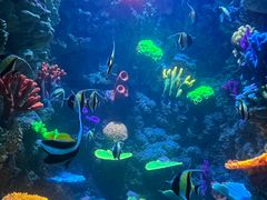 -海合安青岛极地海洋公园