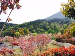 -张公山寨景区