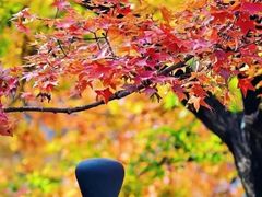 -香山公园-东宫门售票处