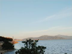 -深圳湾公园(南山区)