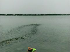 -丁香湖公园