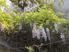 -醉长安(南门总店)