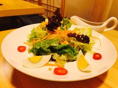 蔬菜沙拉-福匠日本料理(人民路店)