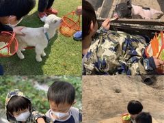 -前小桔亲子创意农场·草莓采摘·露营烧烤