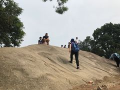 -火炉山森林公园