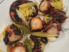 Fremantle&nbsp;Octopus-Cumulus Inc.