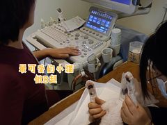 -美联众合动物医院·24h转诊中心
