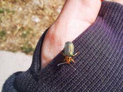 -北京西山国家森林公园