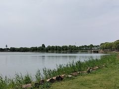 -漕湖湿地公园