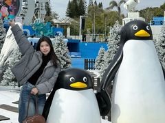 -汕头中海黄金海岸水上乐园