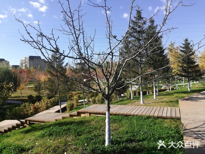 长春市梨花园图片