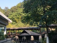 -明月山天沐温泉度假村