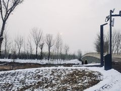 -东郊湿地公园