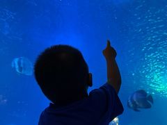 -太平洋海底世界