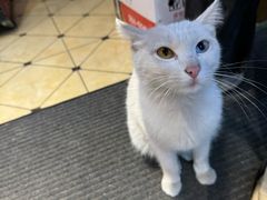 -乡村馕坑肉·烧烤·新疆菜·本地人更爱吃(阿勒泰首店)
