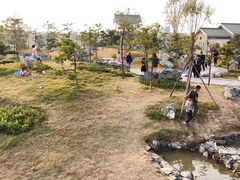 -王借岗森林公园