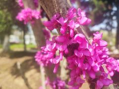 -白塘生态植物园