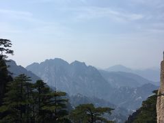 -临街徽菜馆·正宗黄山味