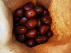 -秋栗香(地安门店)