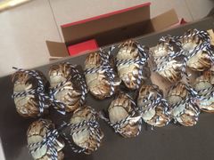 -蟹都汇(旗舰店)