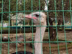 -武汉紫薇都市田园