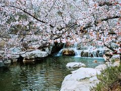 -国家植物园