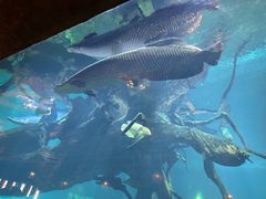 -华夏文旅海洋公园