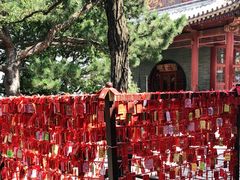 -香山公园