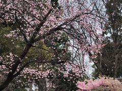 -上野公园花园稻荷神社(忍岡稲荷神社)