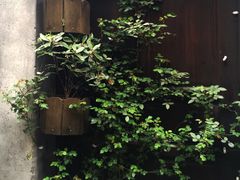 -前童古镇
