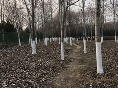 -永定河休闲森林公园