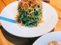 巧拌豆苗-四季民福烤鸭店(前门廊房二条店)