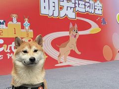 -开元商城(西旺店)