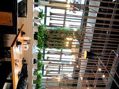 -川东长筷子耗儿鱼(万象润街店)