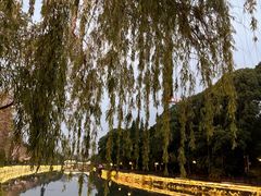 -成都市活水公园