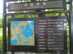 -西湖外事游船(花港观鱼码头)