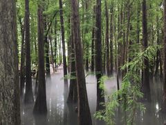 -东湖落雁景区