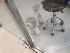 -宠福鑫康馨动物医院·骨科·眼科