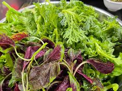 -黔府豆米火锅野菜馆(南马店)