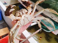 -喜洋洋蟹庄(阳澄湖店)