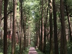 -同里国家湿地公园